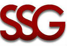 SmartEgypt Security