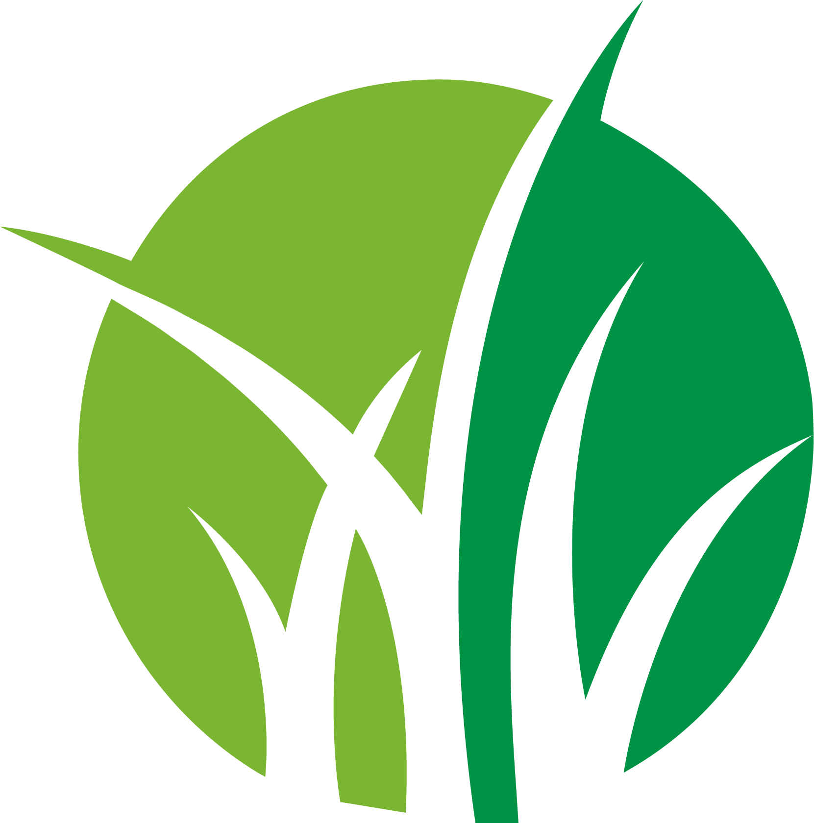 الياسين الزراعية